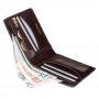 Кошелек мужской Visconti TSC46 Francesca c RFID (Brown)