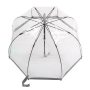 Зонт-трость женский Fulton Birdcage-1 L041 Silver (Серебряный)