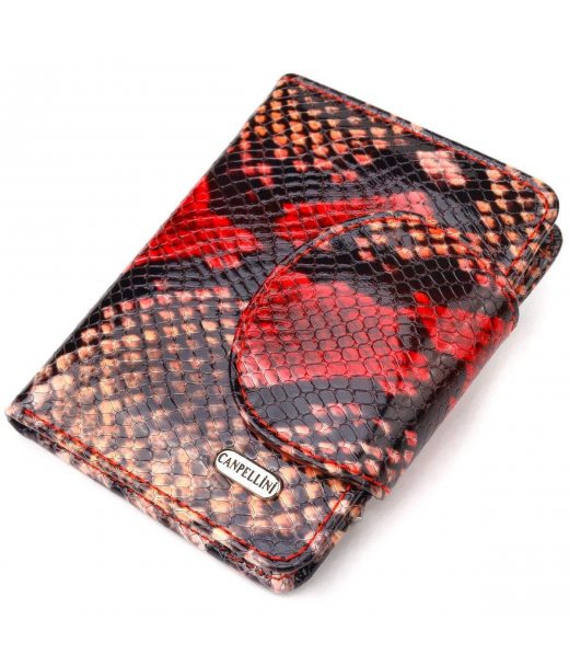 Небольшой женский кошелек из натуральной кожи с тиснением под змею CANPELLINI 21667 Разноцветный Небольшой женский кошелек из натуральной кожи с тиснением под змею CANPELLINI 21667 Разноцветный