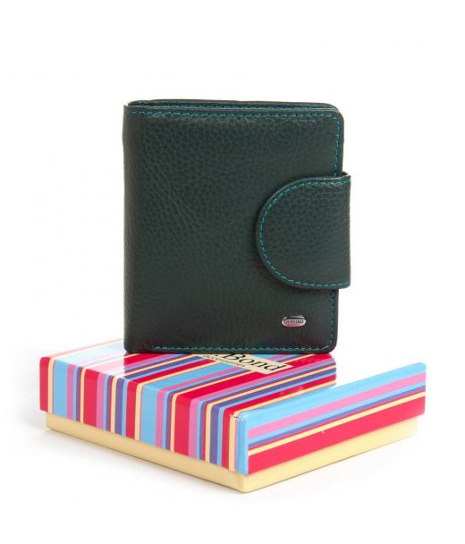 Гаманець Шкіряний Жіночий Rainbow DR. BOND WRS-415-1 green